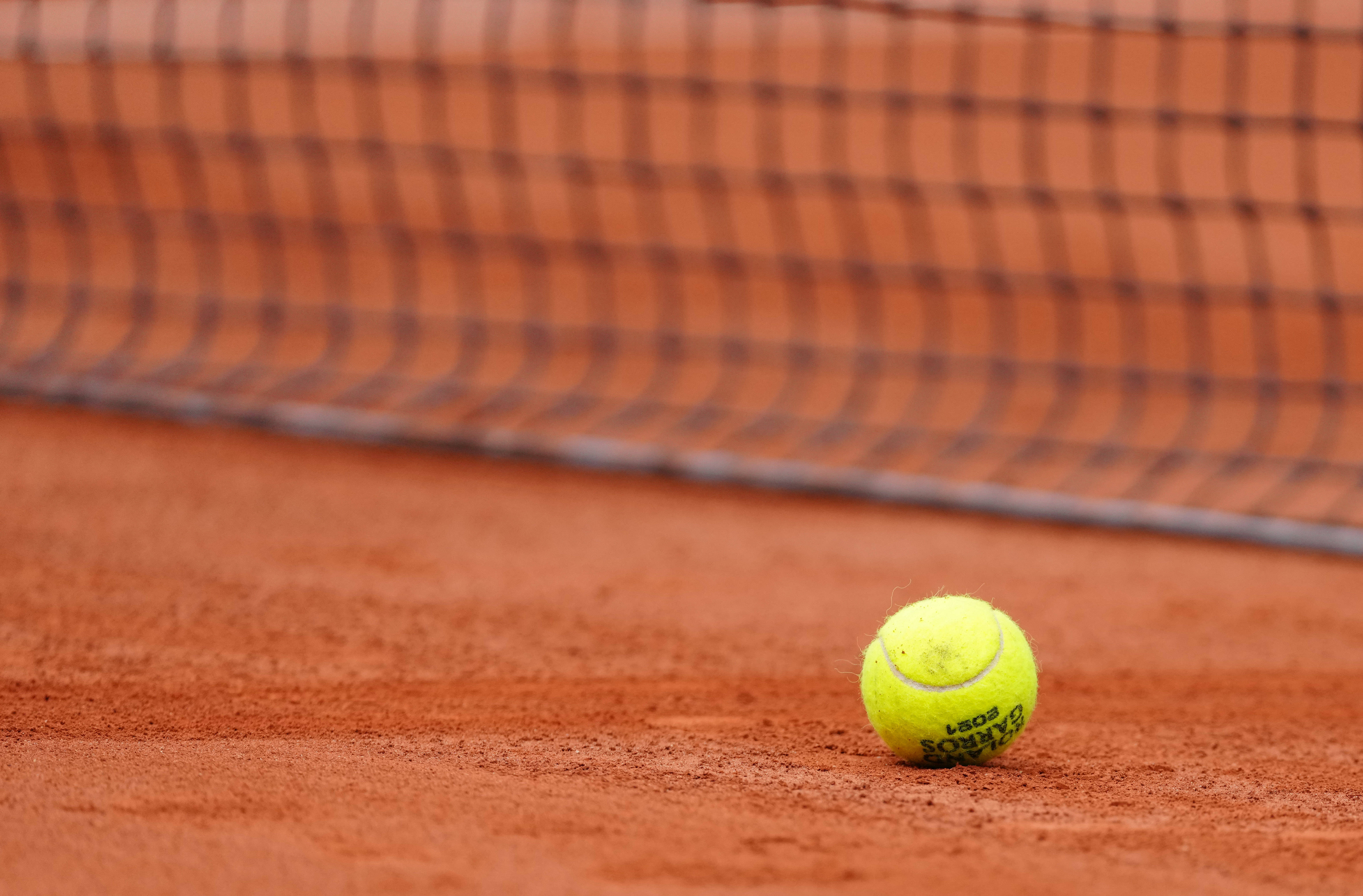 不仅表明了 不仅表明了